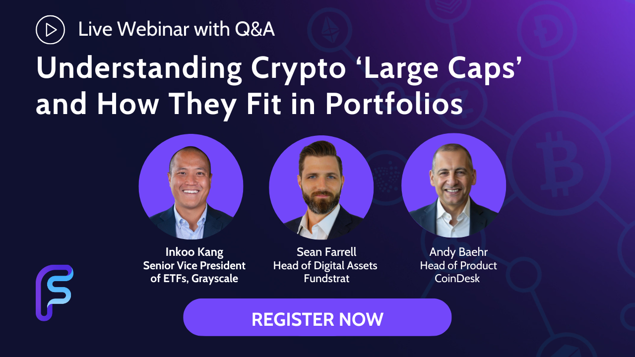 Understanding Crypto ‘Large Caps’ and How They Fit in Portfolios ...