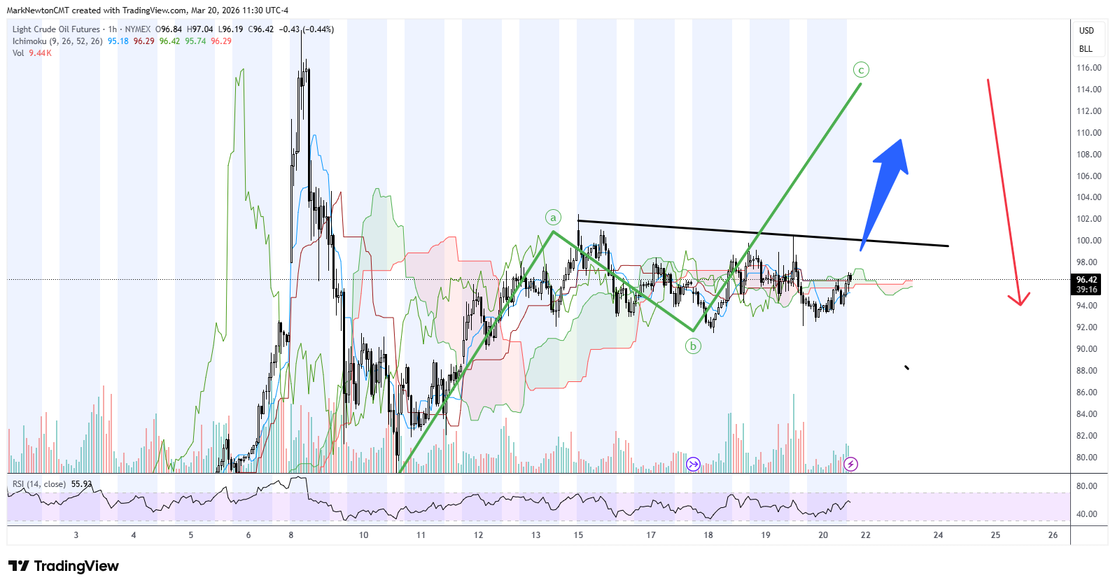 Flash Insight attachment