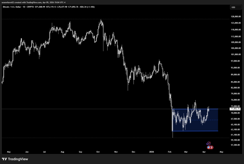 Crypto Markets Looking Through the Noise, Leaning Higher (Portfolio Rebalance)