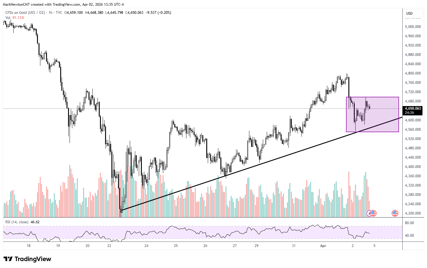 Flash Insight attachment