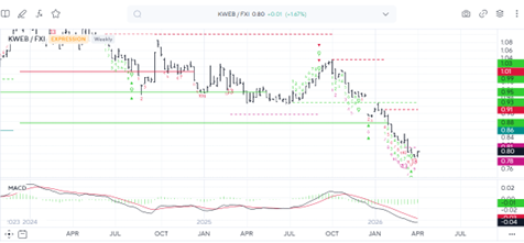 Flash Insight attachment