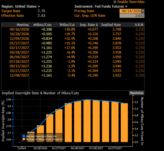 Flash Insight attachment